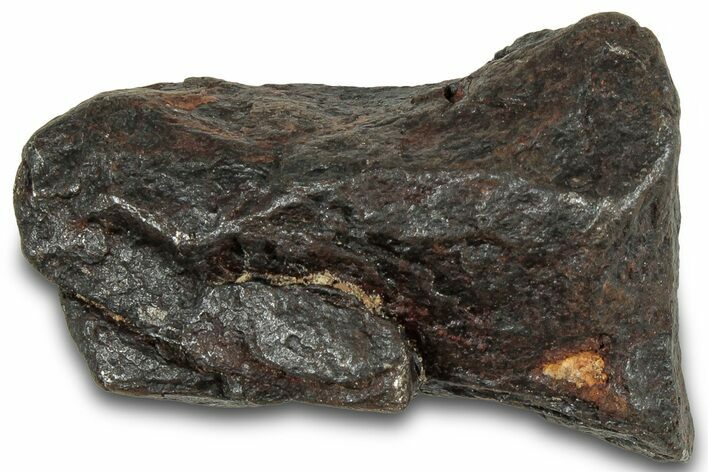 Canyon Diablo Iron Meteorite ( g) - Arizona #319646